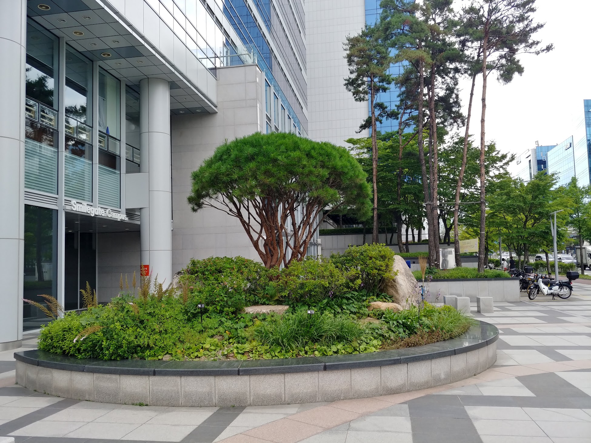 20190719_144139_HDR.jpg
