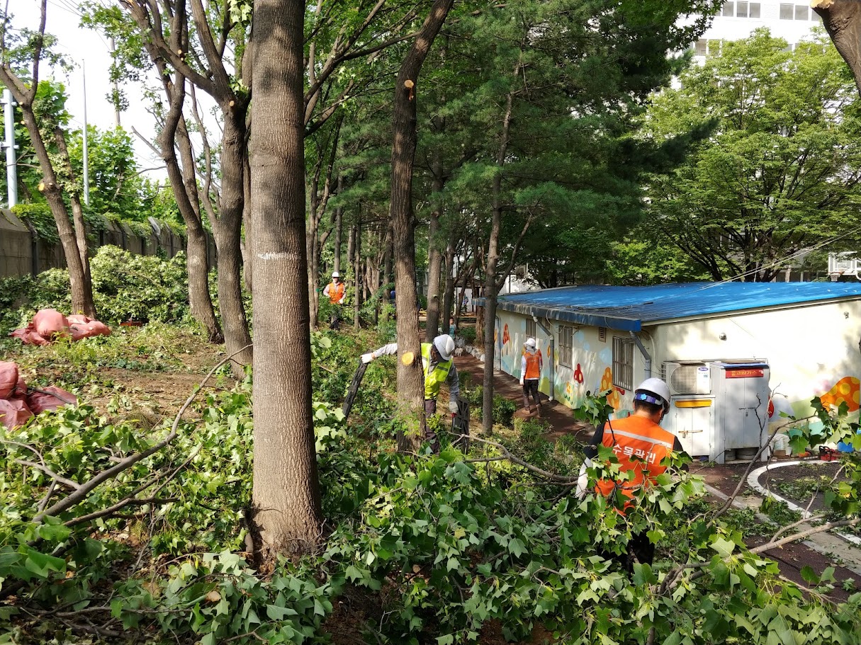 20180615_082506.jpg