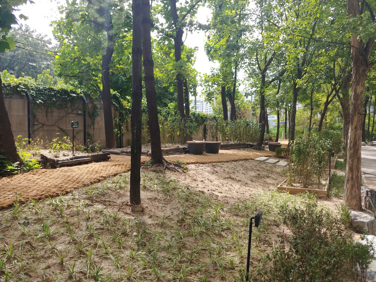 20180919_124928.jpg