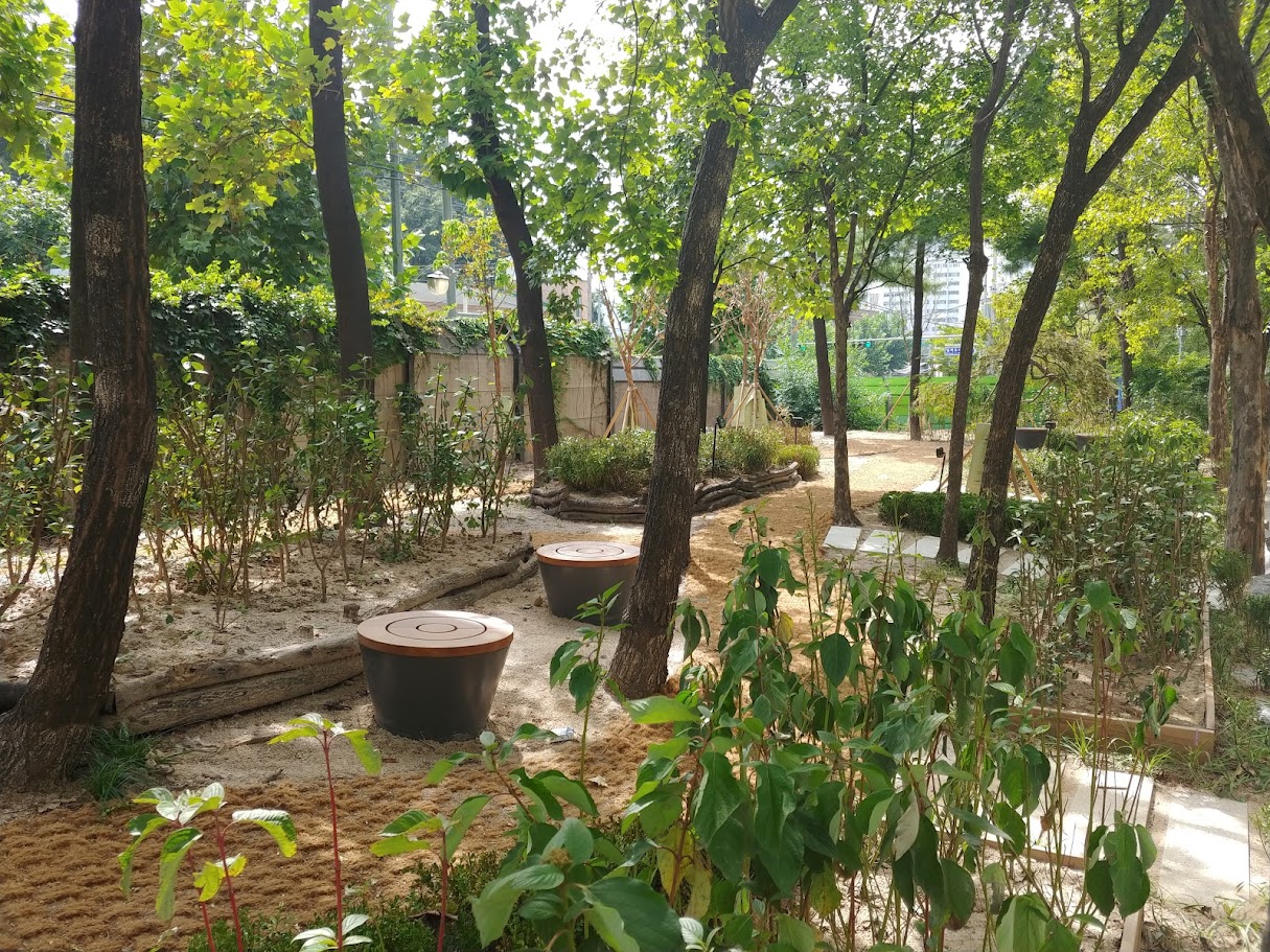 20180919_125136.jpg