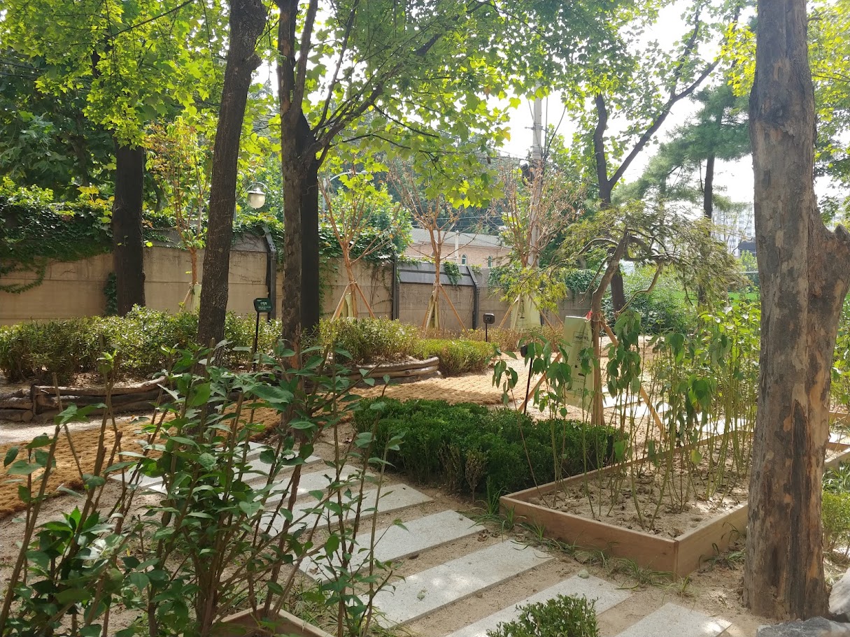 20180919_125124.jpg