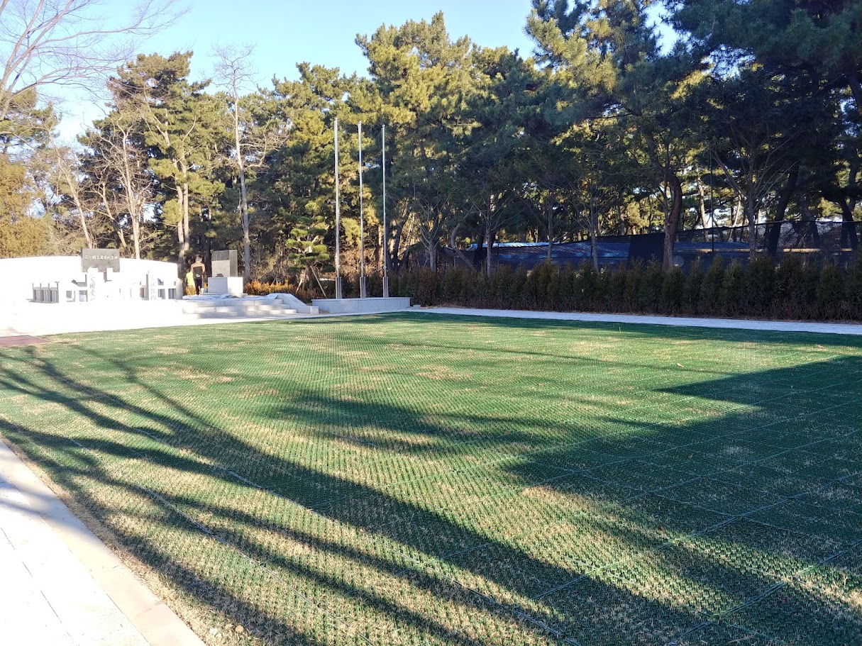 20181214_095513_HDR.jpg