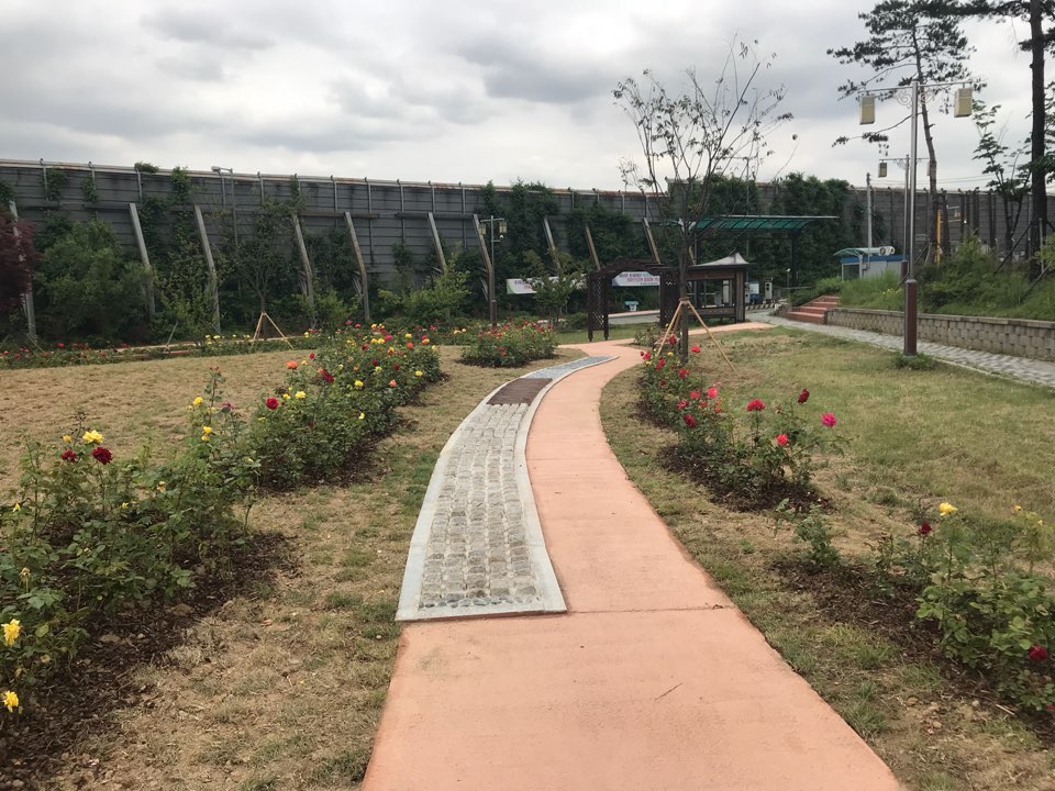 KakaoTalk_20180611_131847892.jpg