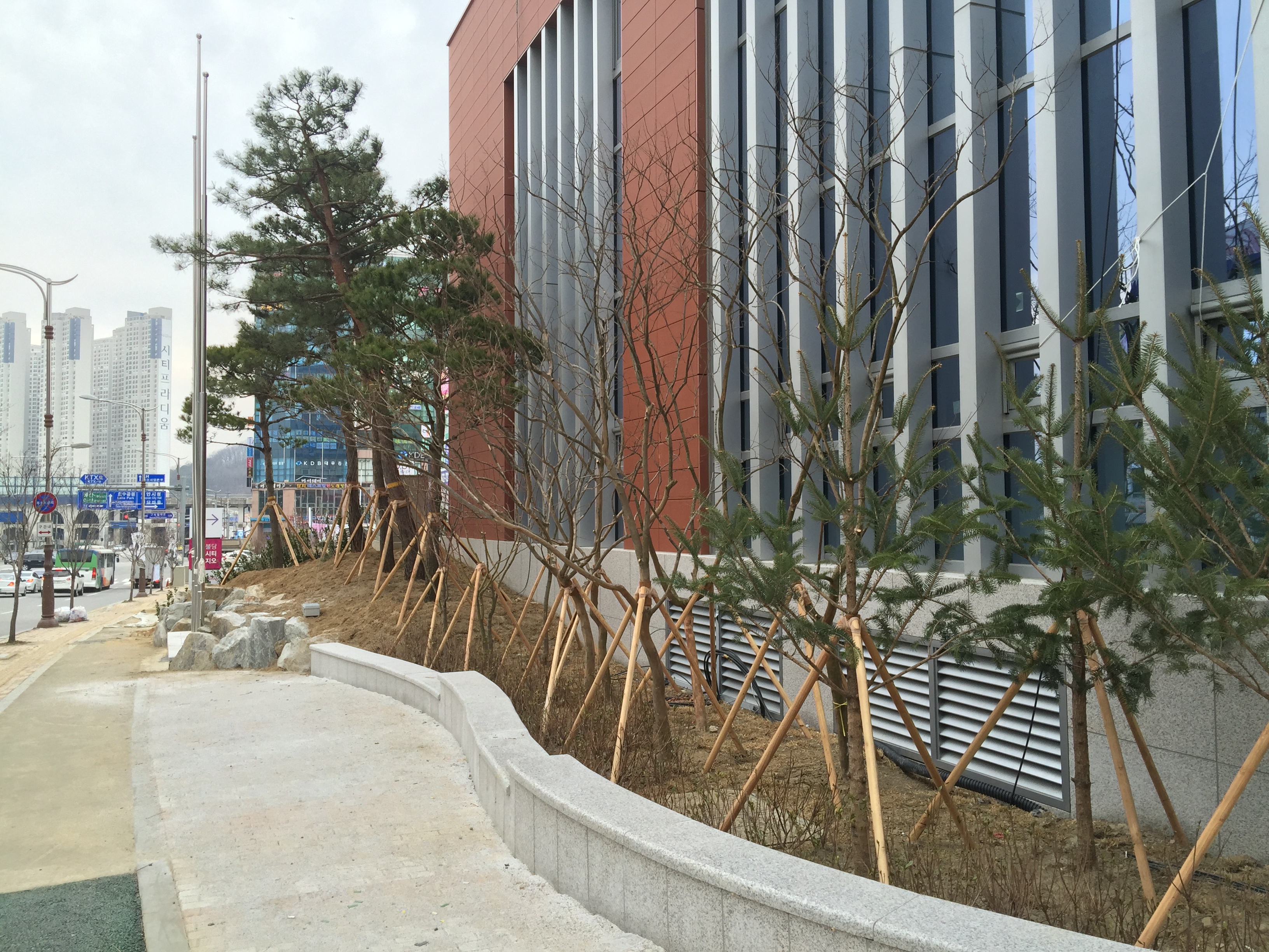20160317_055647275_iOS.jpg