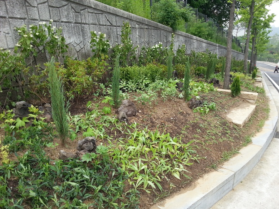 20130526_155110-2.jpg