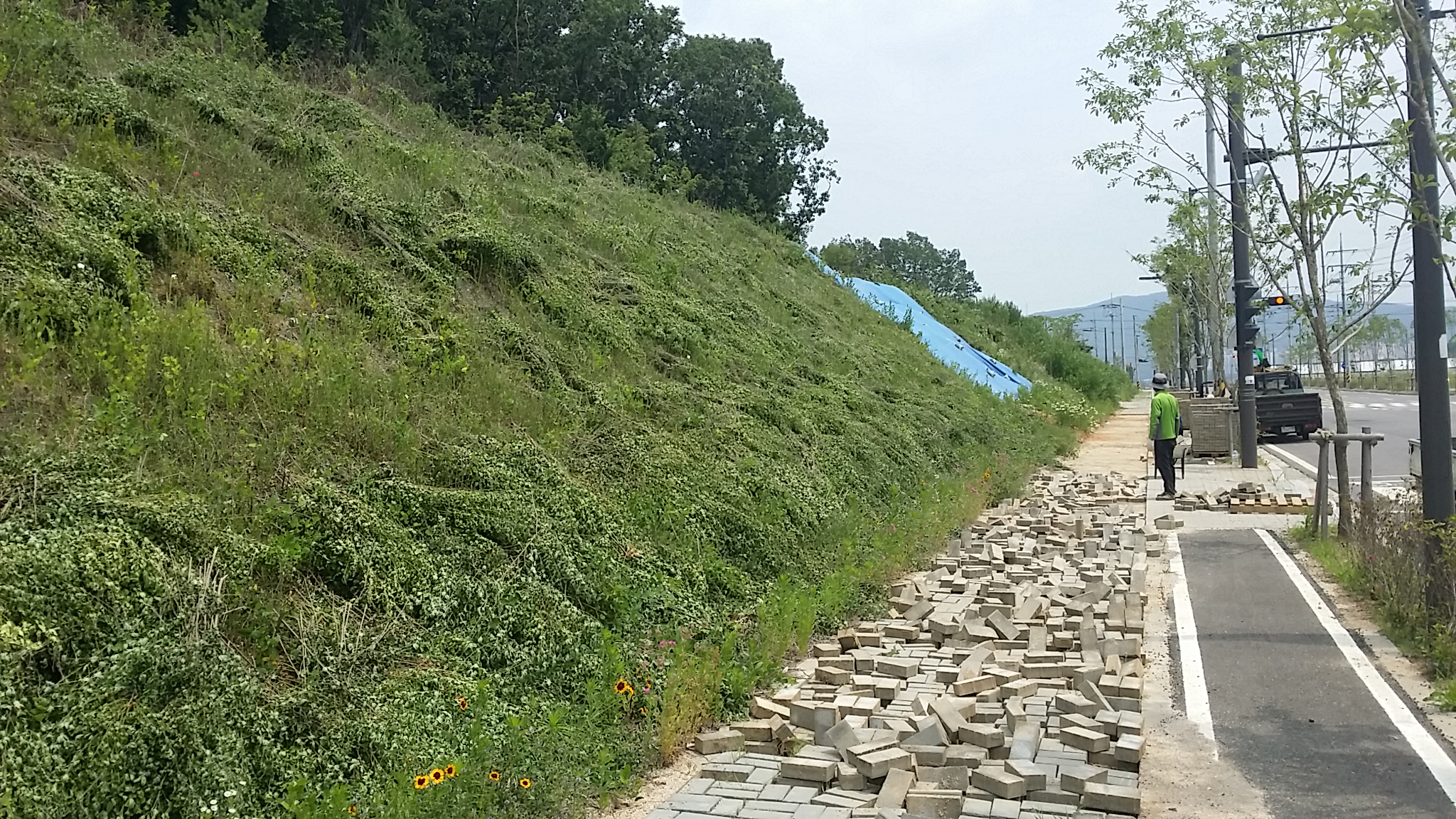 20140609_132723.jpg