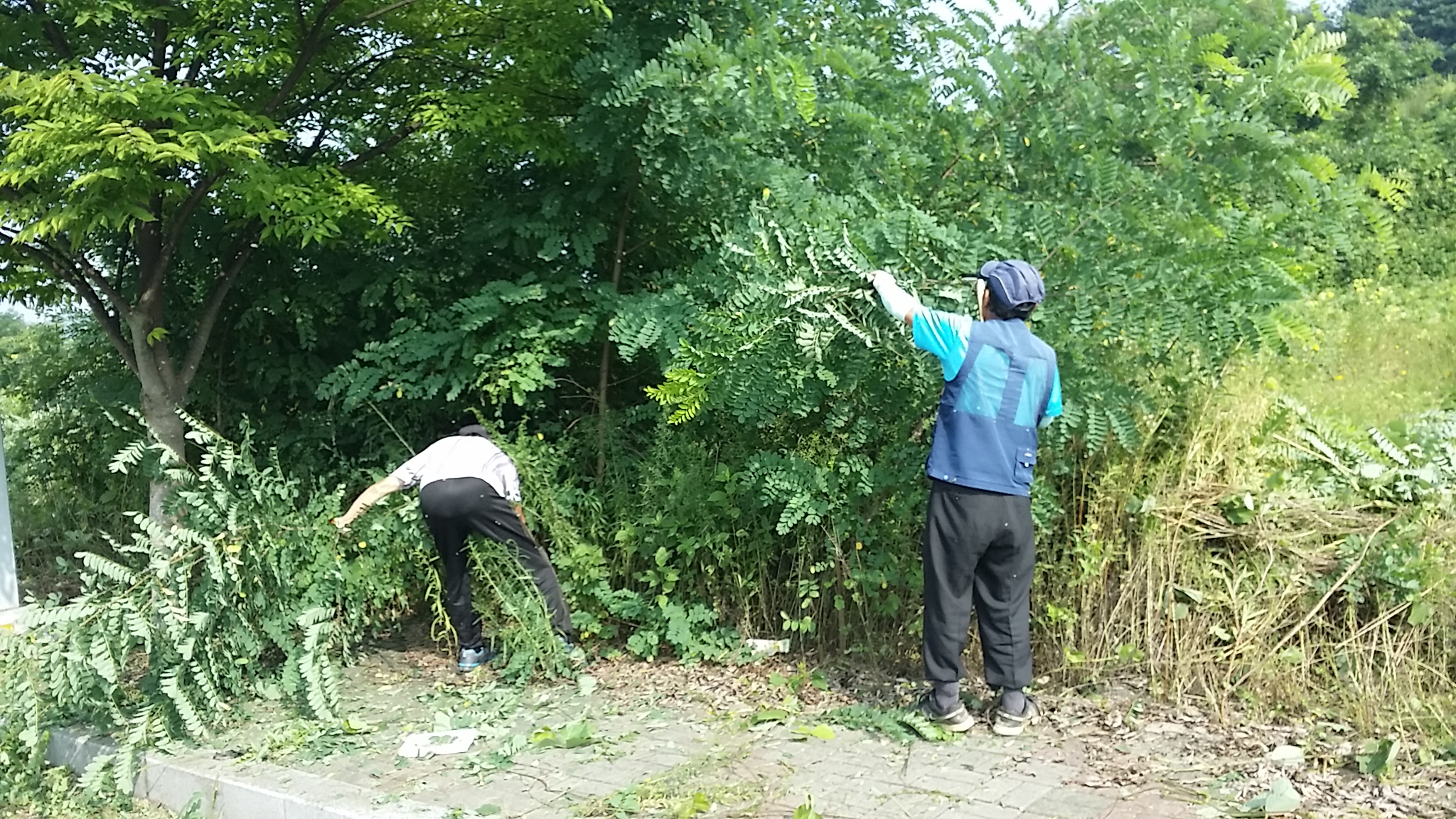 작업중2.jpg