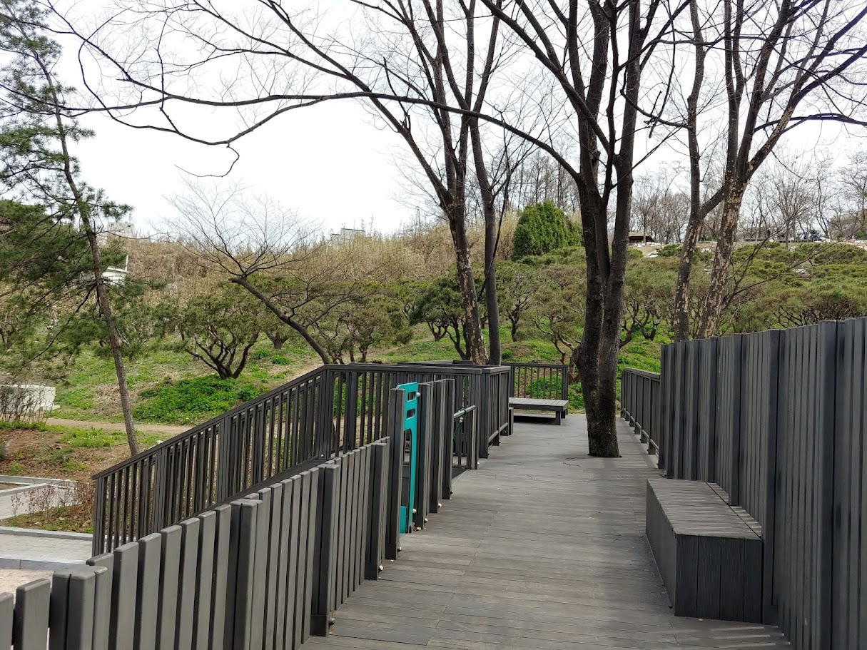 20180407_121710_HDR.jpg