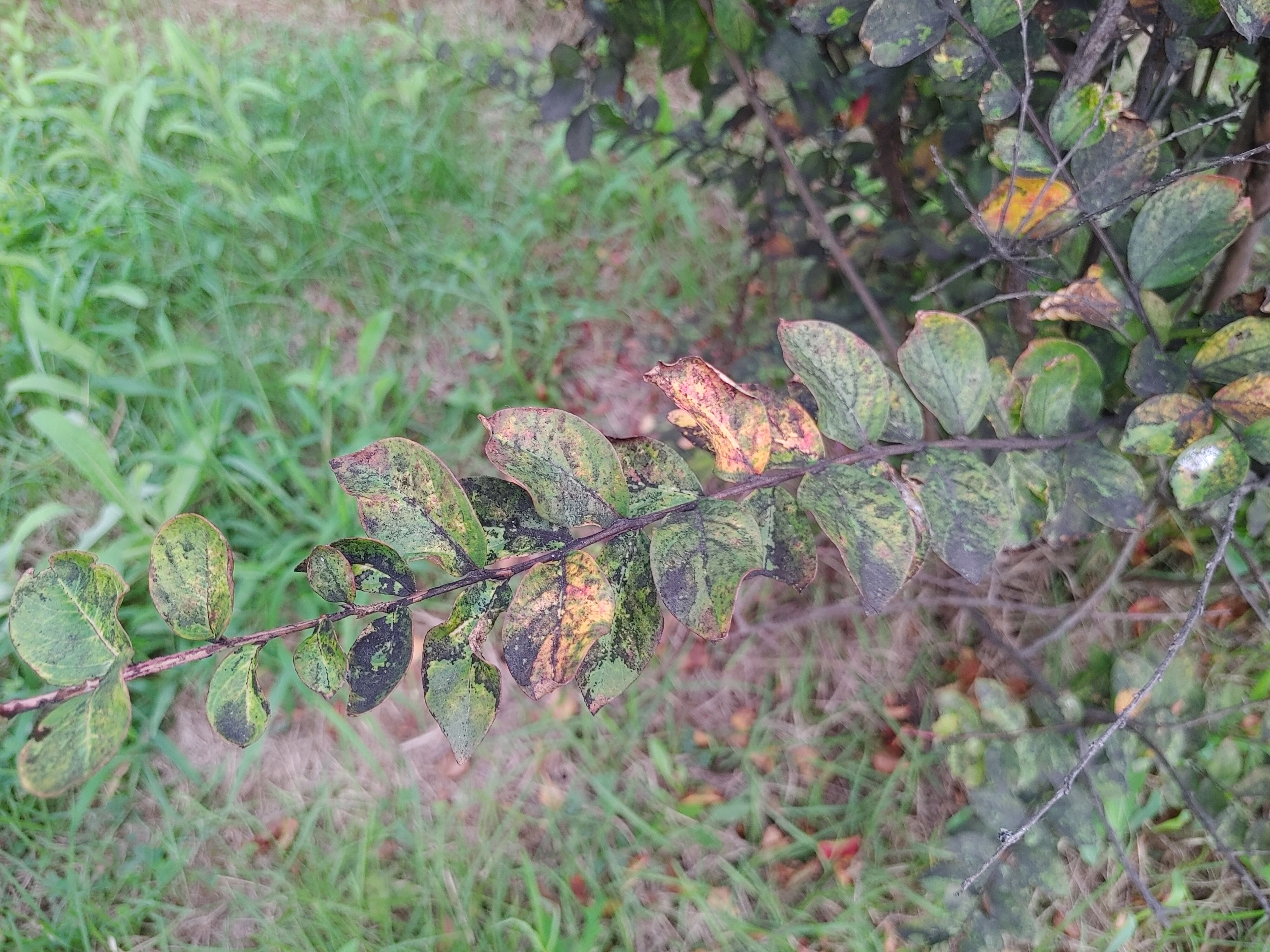 20210902_180513.jpg