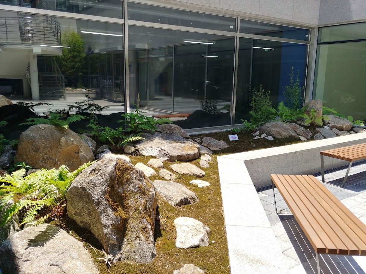 20190617_115828_HDR.jpg