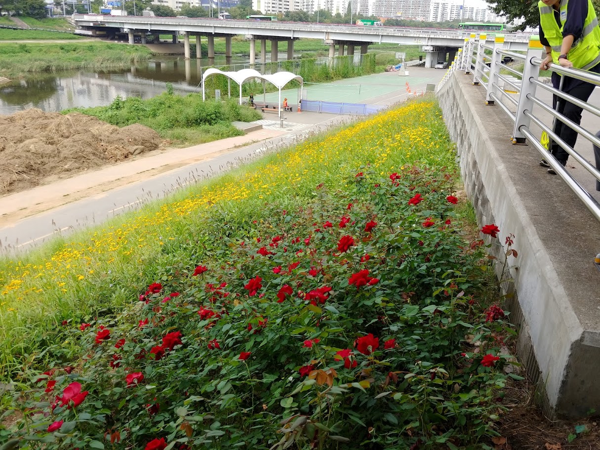 20180918_105913_HDR.jpg