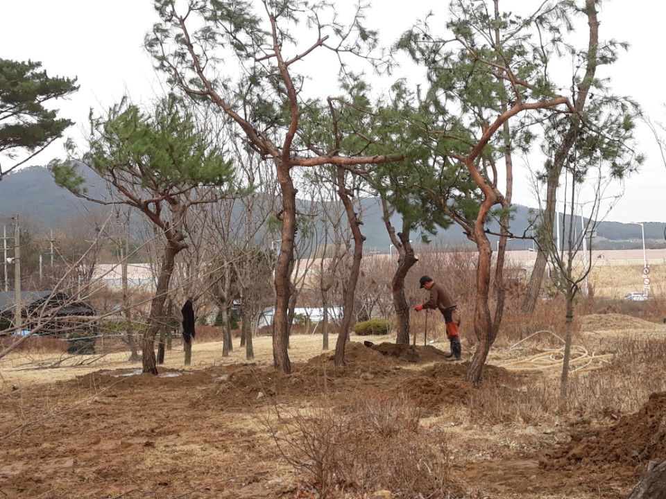 KakaoTalk_20180314_203412291.jpg