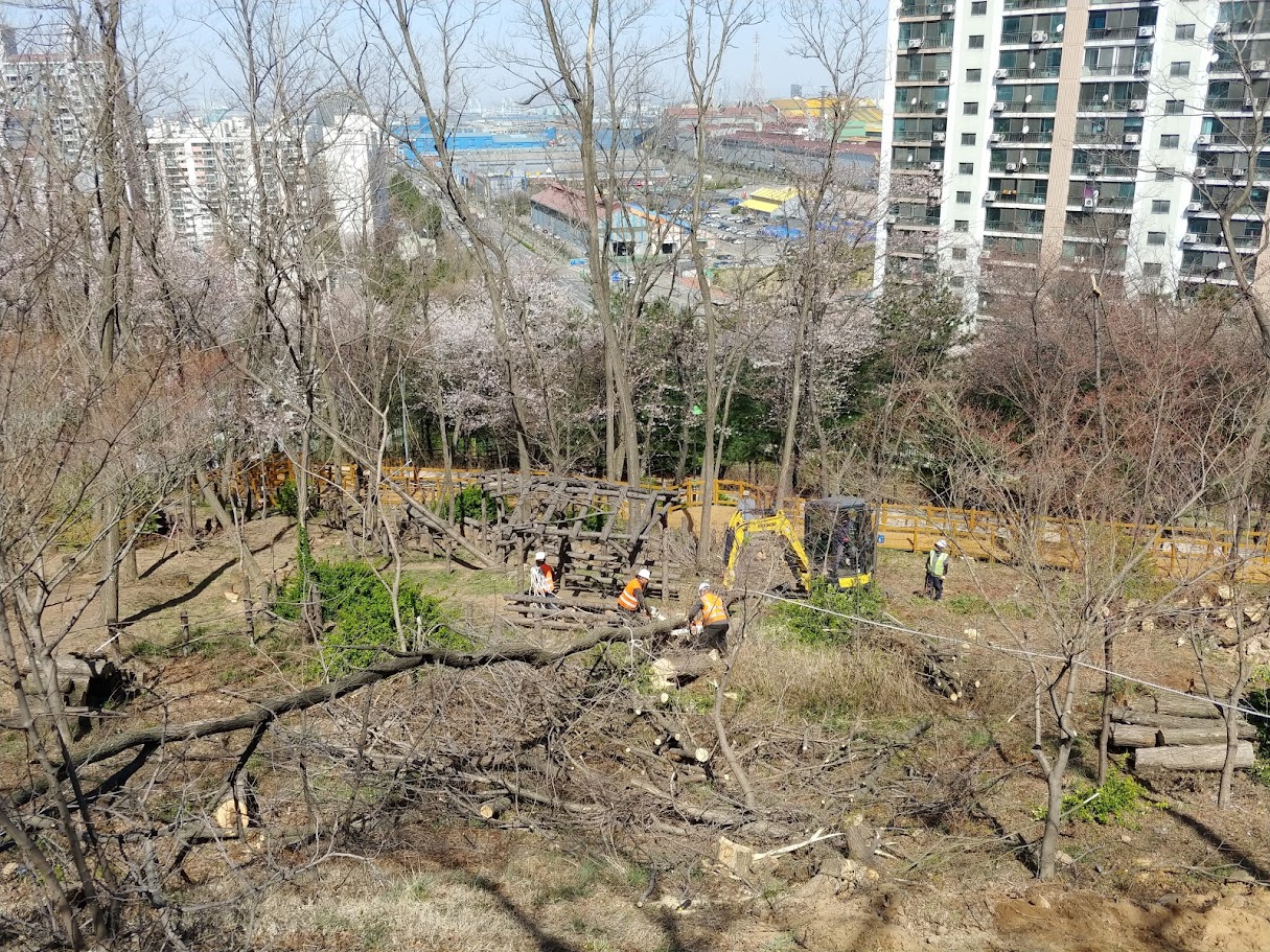 20200404_105935.jpg