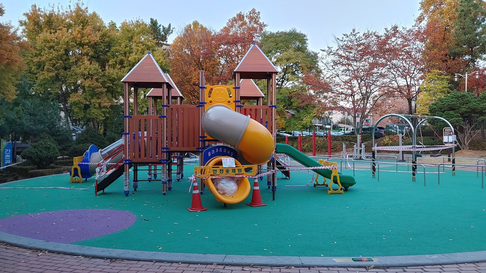20201103_172540_HDR.jpg