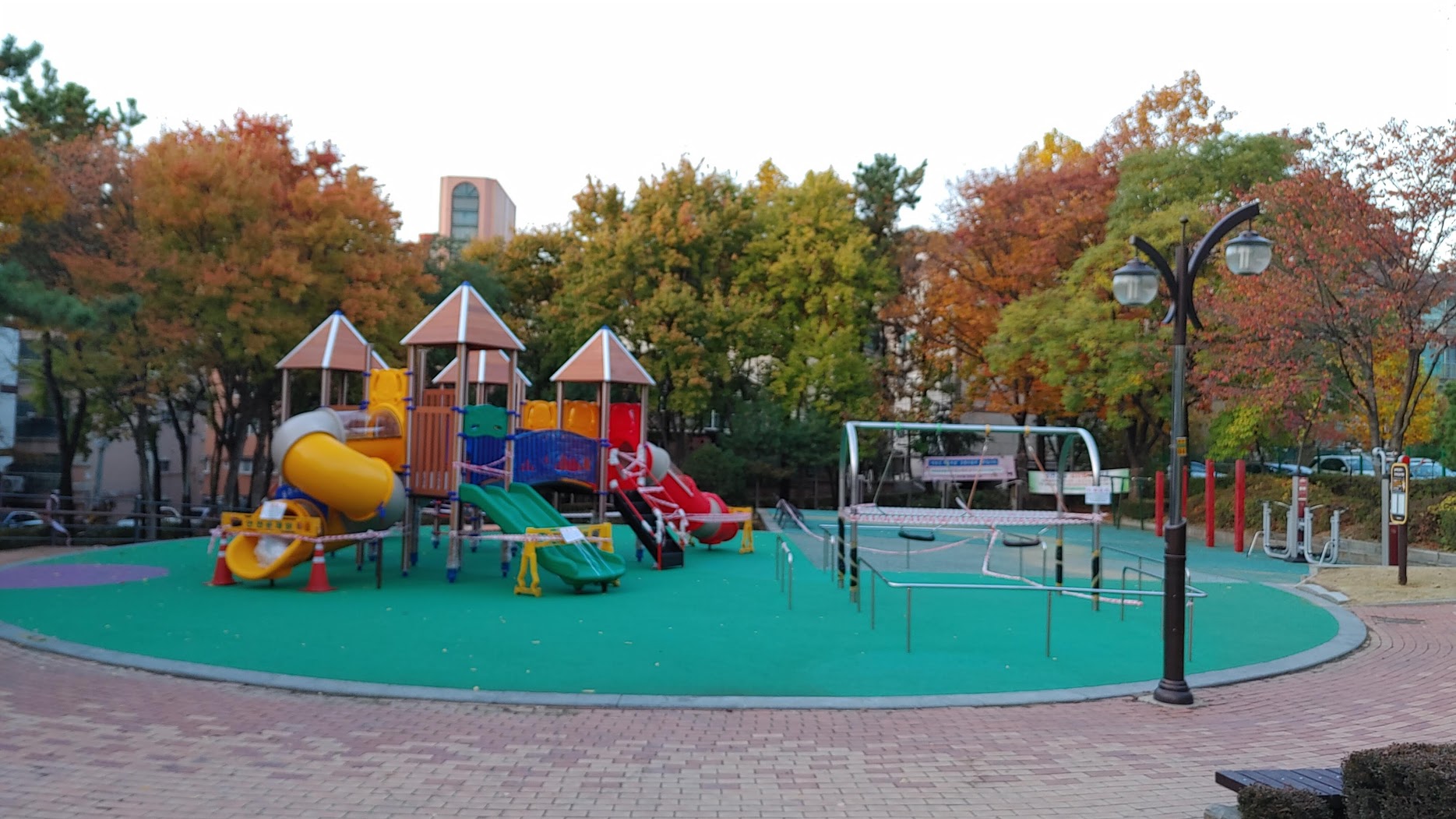 20201103_172434.jpg